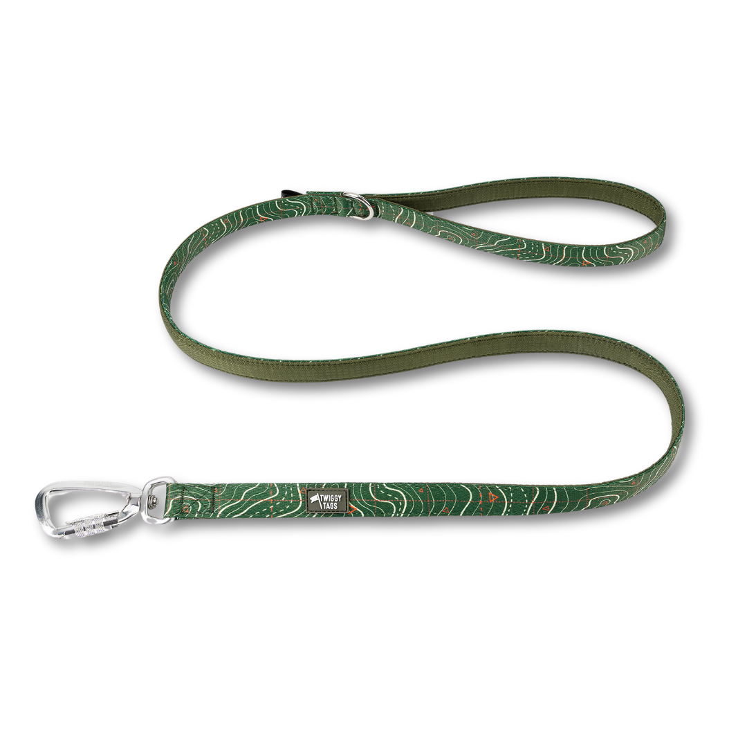 Twiggy Tags Apex Lead 1.2m