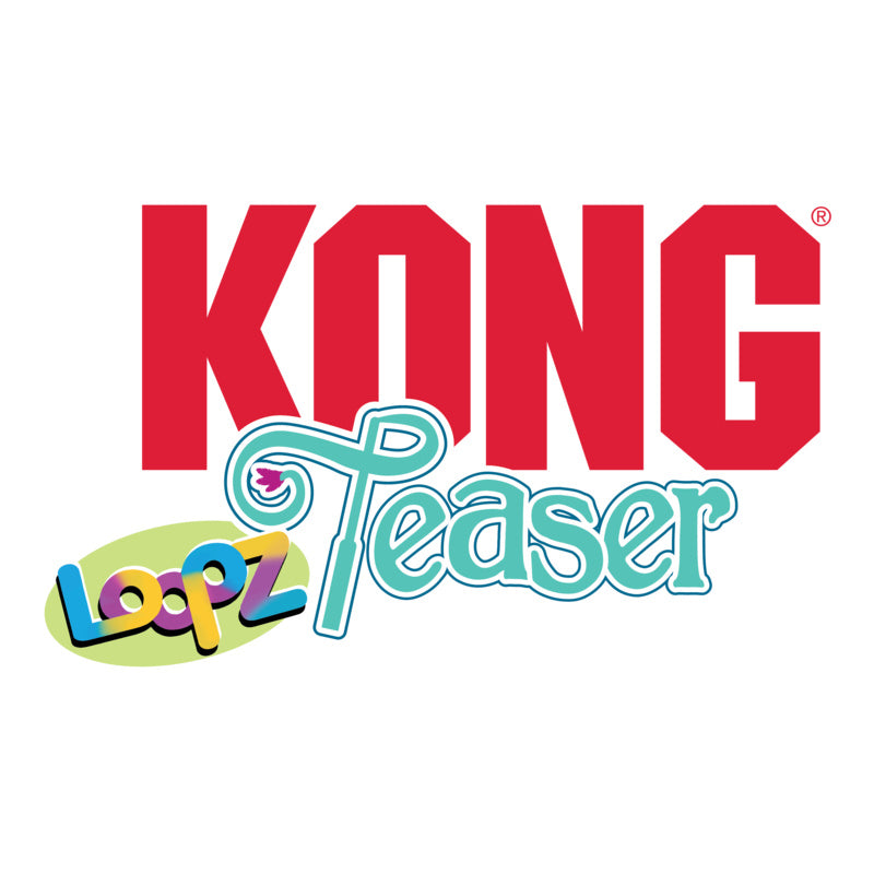 KONG Loopz Teaser