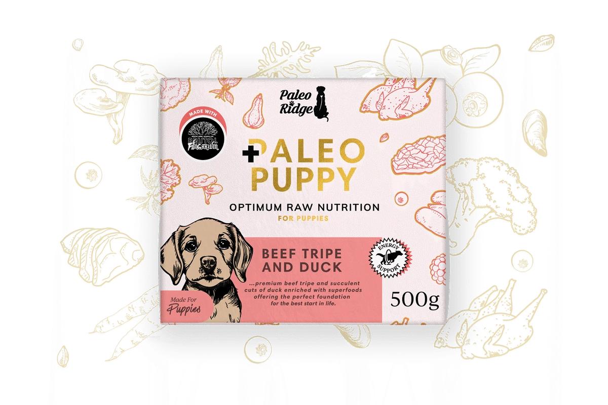 Paleo Puppy Beef Tripe & Duck 500g