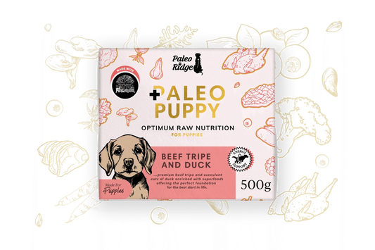 Paleo Puppy Beef Tripe & Duck 500g