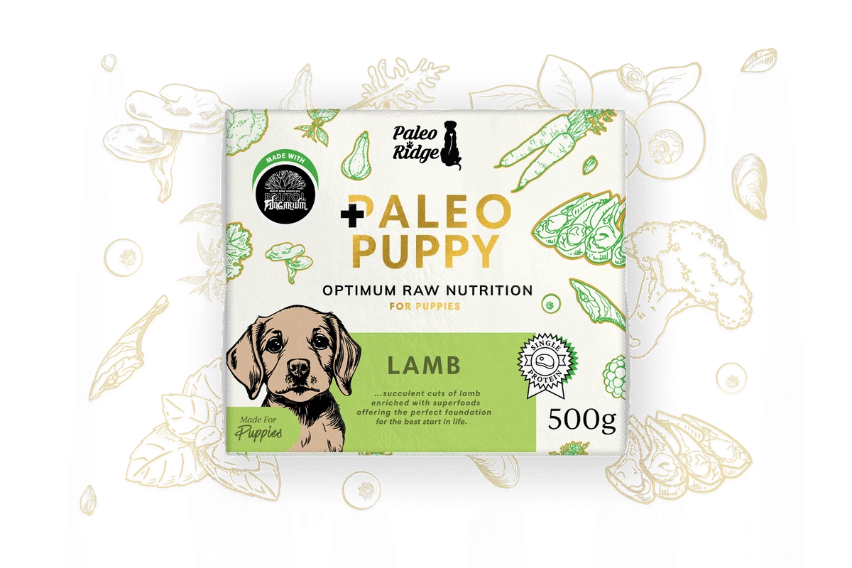Paleo Puppy Lamb 500g