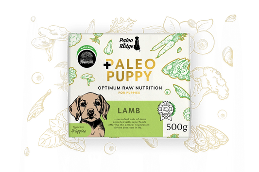 Paleo Puppy Lamb 500g