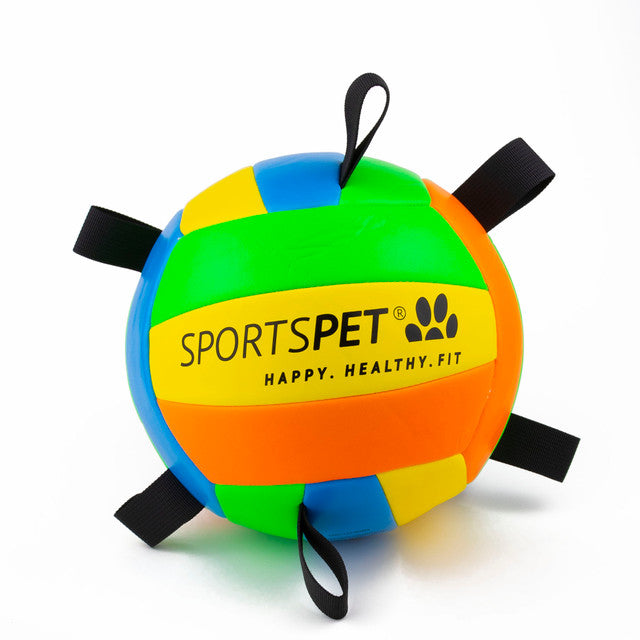 Sportspet Tab Volleyball size 2