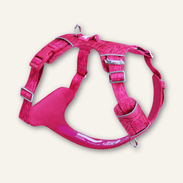 Twiggy Tags Adventure Lite Harness
