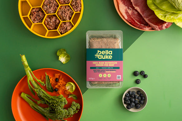 Bella & Duke Adult Complete Beef 500g