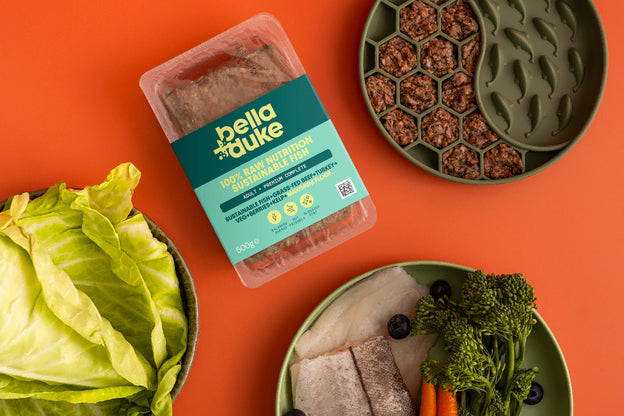 Bella & Duke Adult Complete Fish 500g