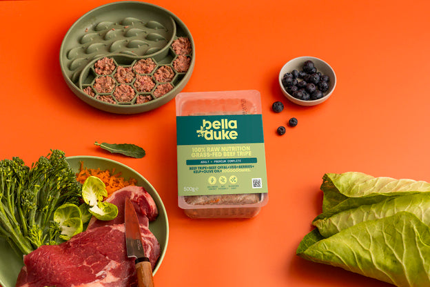 Bella & Duke Adult Complete Tripe 500g