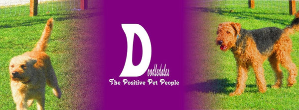 Doodledales