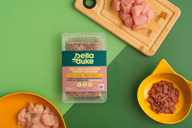 Bella & Duke Cat Complete Turkey & Chicken 250g