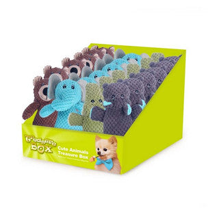 All For Paws Cute Animal
