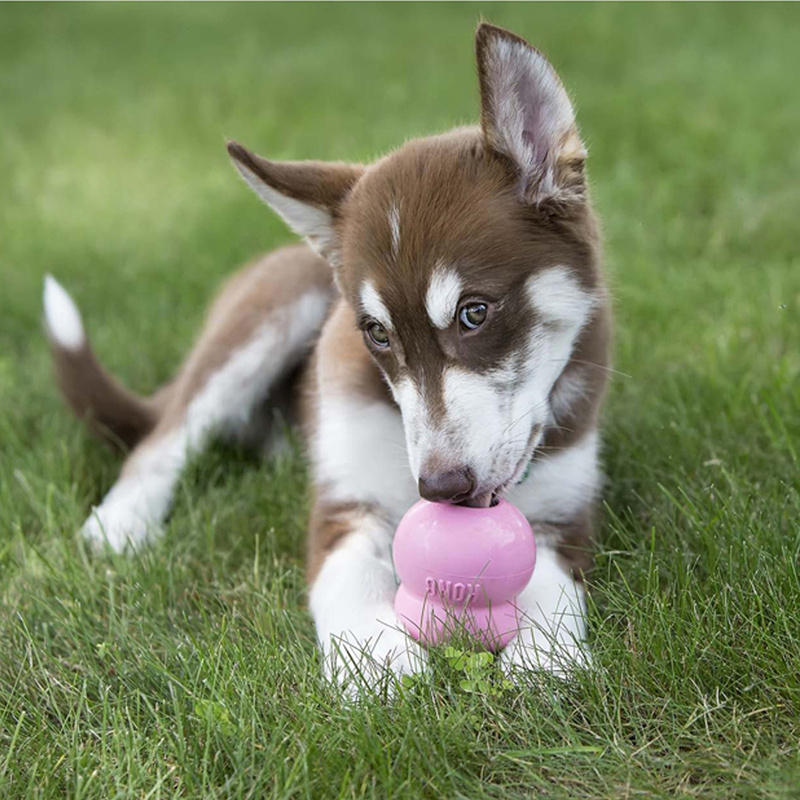 KONG Easy Treat Puppy Chicken