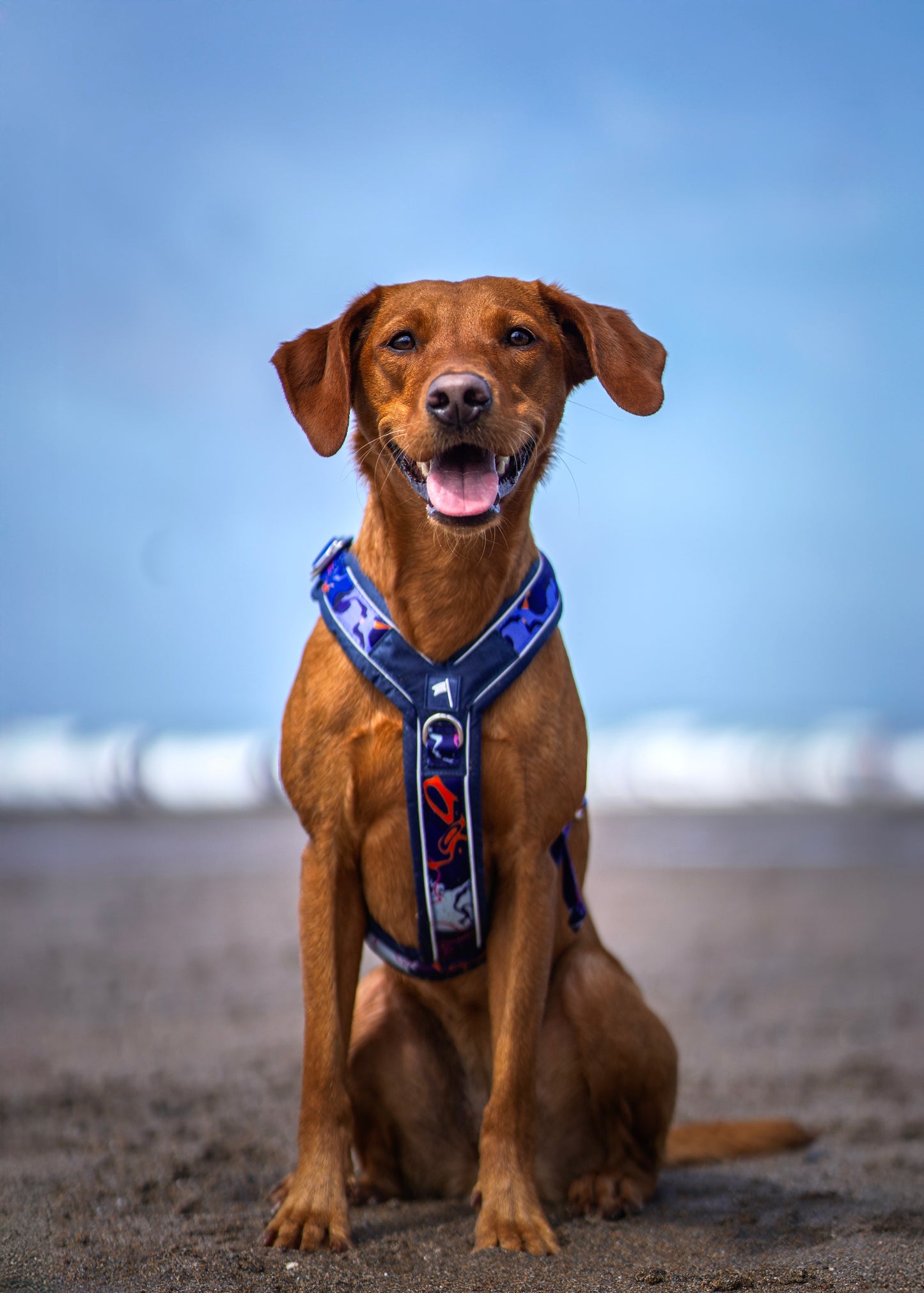 Twiggy Tags Apex Harness Nebula