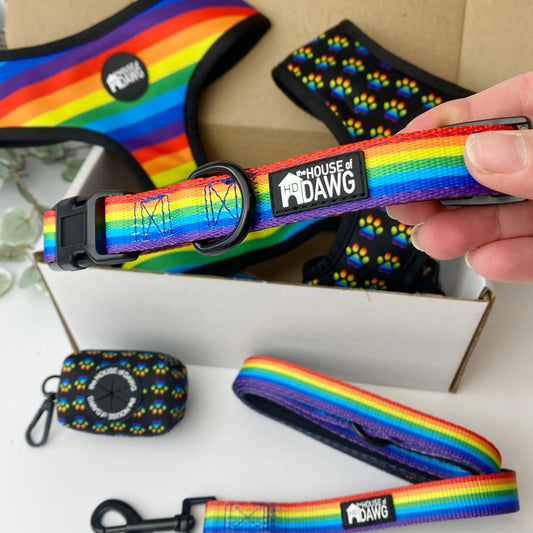 House of Dawg Rainbow collar