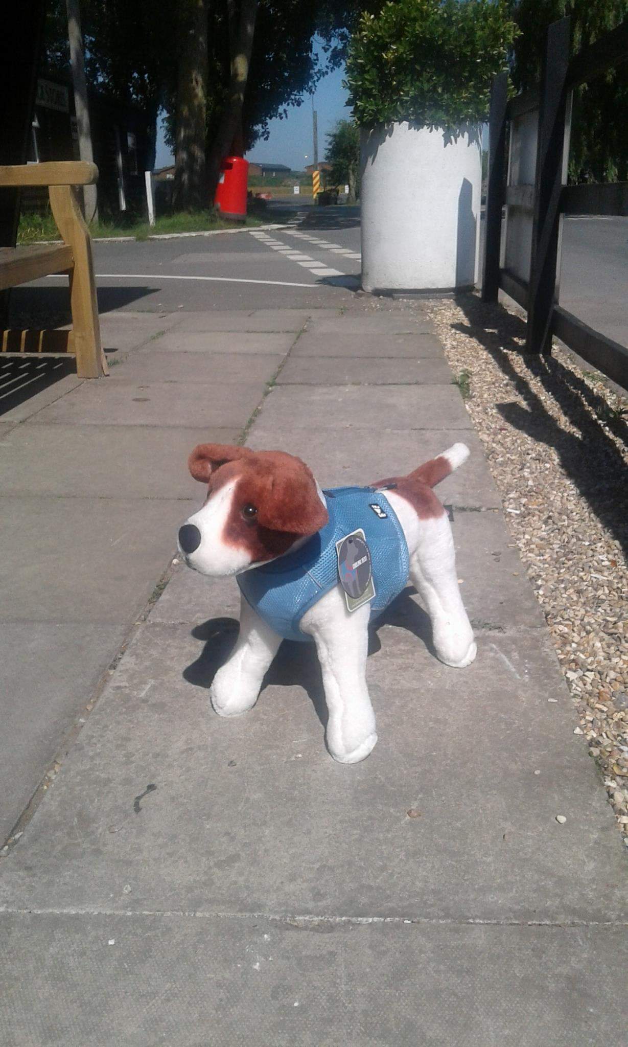 Hurtta cooling vest