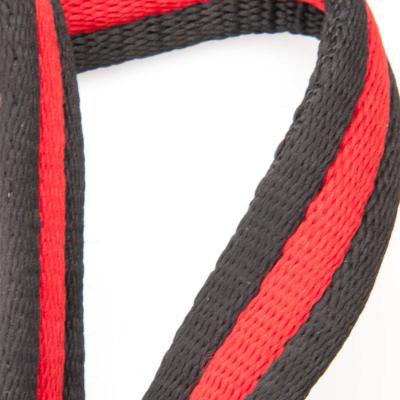 Airweb 2m double ended training lead