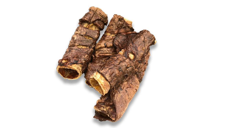 Buffalo wrapped trachea