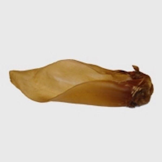 XL Buffalo Ear