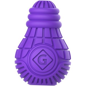 Gigwi lightbulb chew toy
