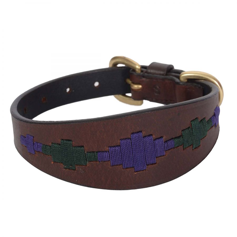 Weatherbeeta Polo sighthound dog collar