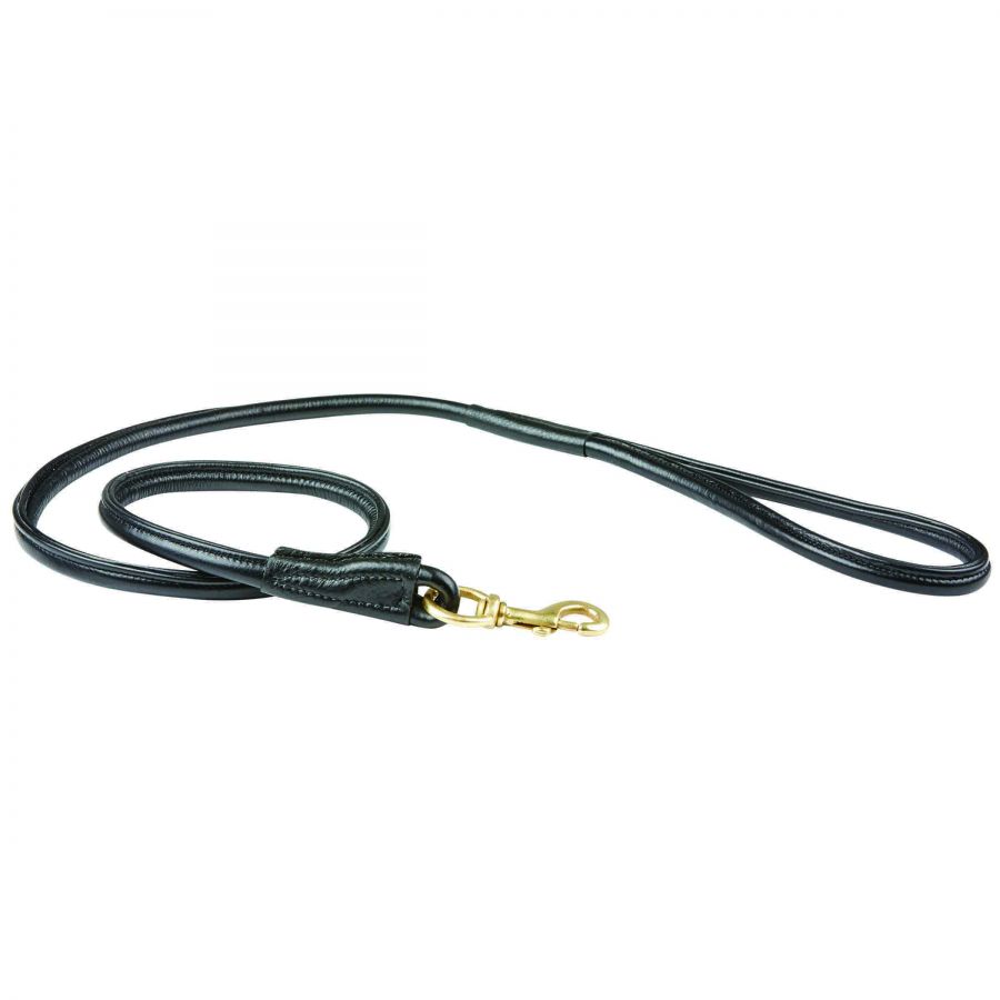 Weatherbeeta rolled leather dog lead