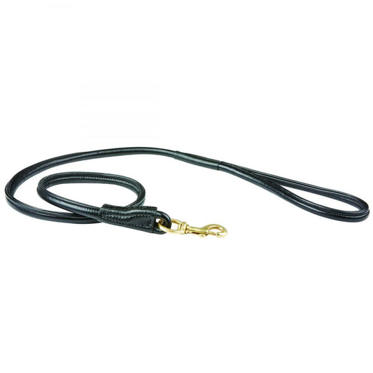 Weatherbeeta rolled leather dog lead