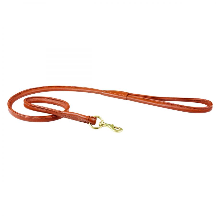 Weatherbeeta rolled leather dog lead