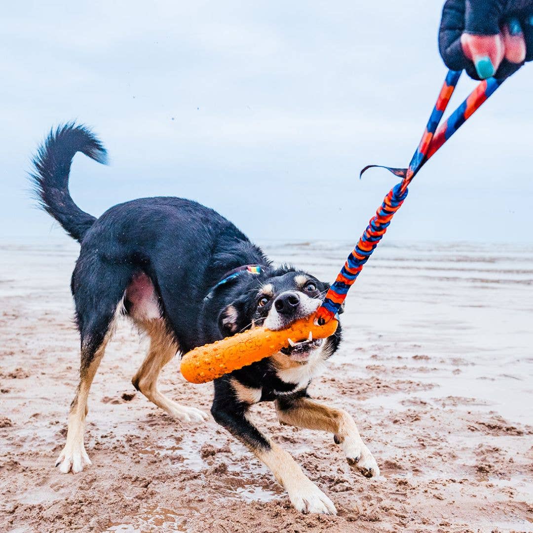 Tug-E-Nuff | BOB: The 3-in-1 Dummy | Fetch, tug, & float