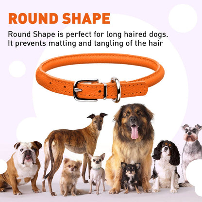 Soft Leather Round Collar