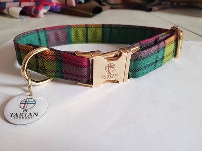 Tartan Dog Collar (Medium) - MacMillan Tartan