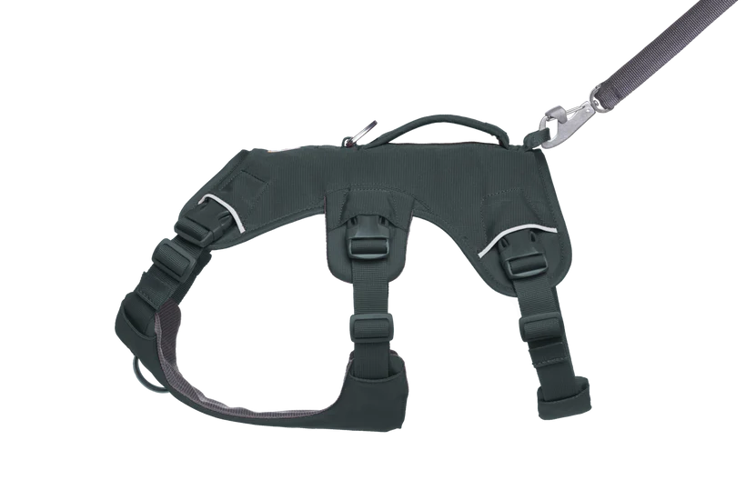 Ruffwear Webmaster 2025