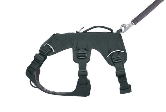 Ruffwear Webmaster 2025