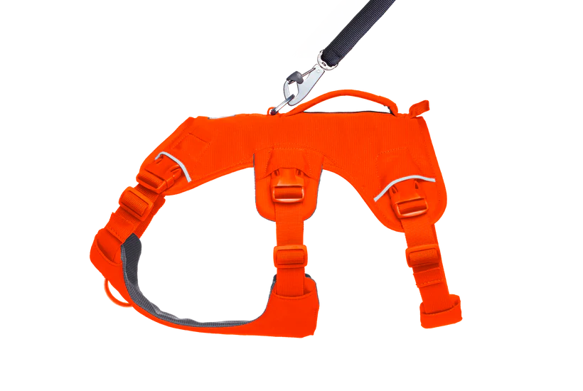 Ruffwear Webmaster 2025