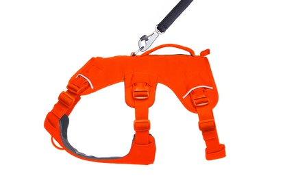 Ruffwear Webmaster 2025