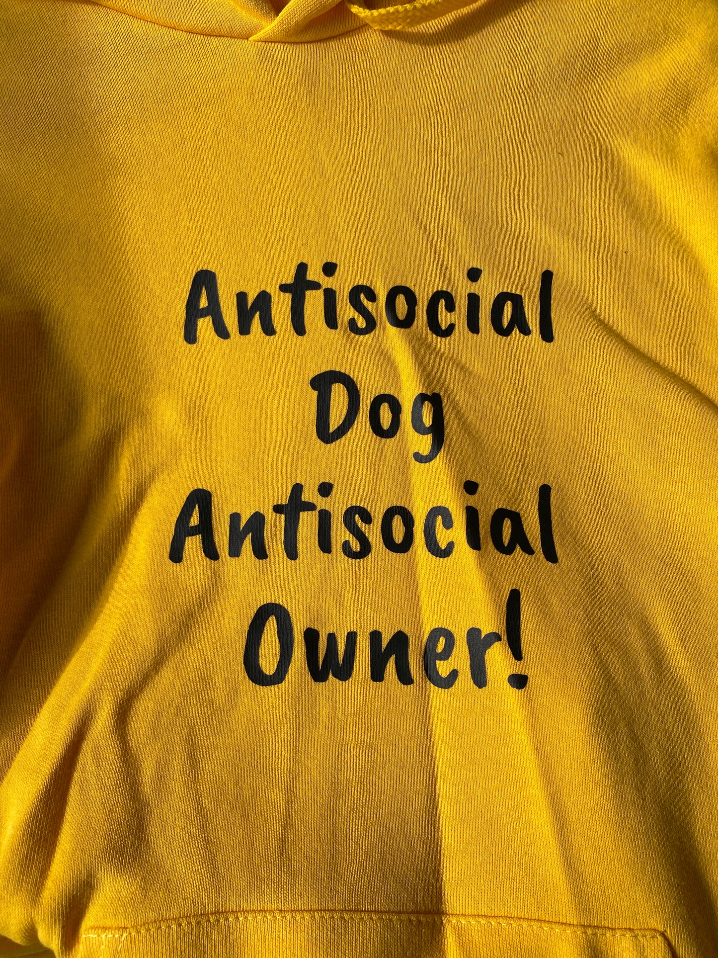 Antisocial Dog, Antisocial Owner Hoodie