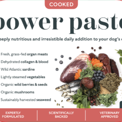 DogsFirst PowerPaste Cooked 400g