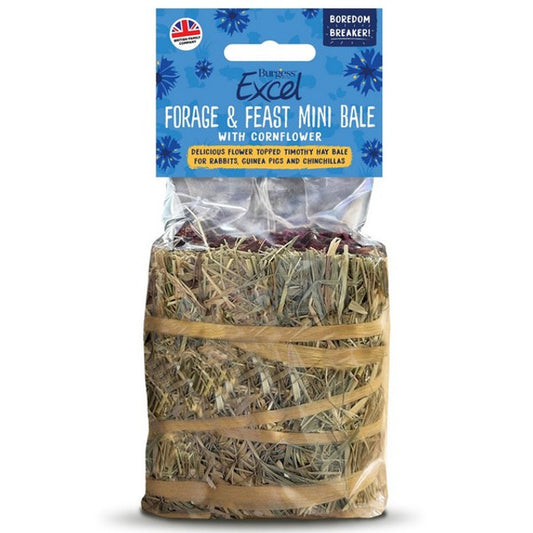 Burgess Excel Forage & Feast mini bale with cornflower