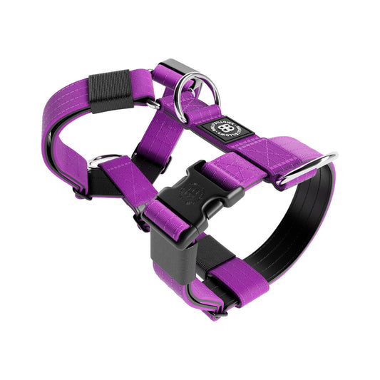 BullyBillows Tri-Harness v2.0