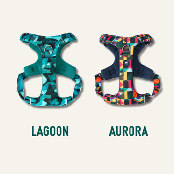 Twiggy Tags Adventure Harness
