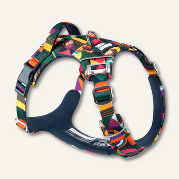 Twiggy Tags Adventure Harness