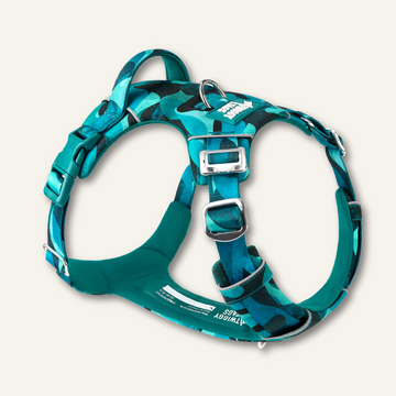 Twiggy Tags Adventure Harness