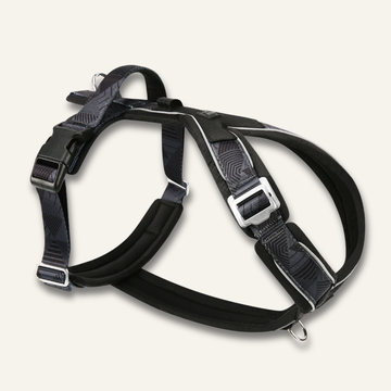 Twiggy Tags Apex Harness Onyx