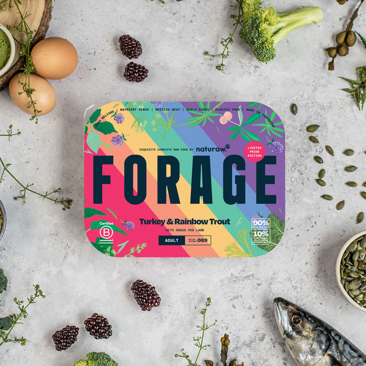Naturaw Forage Pride Turkey & Rainbow Trout 500g