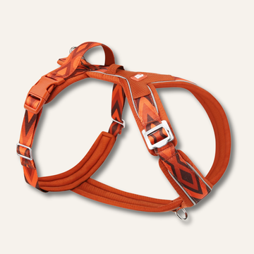 Twiggy Tags Apex Harness Dawn