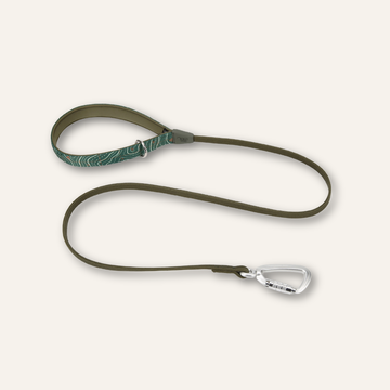 Twiggy Tags Bungee Lead Light