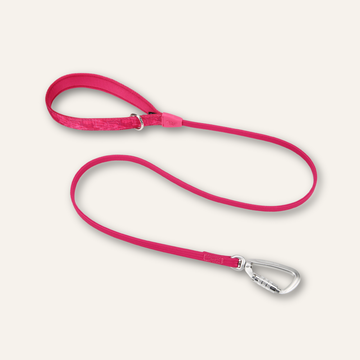 Twiggy Tags Bungee Lead Light