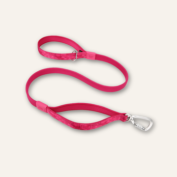 Twiggy Tags Bungee Lead Medium