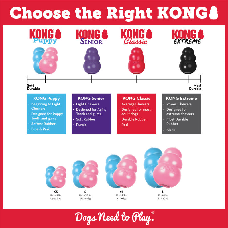 KONG puppy