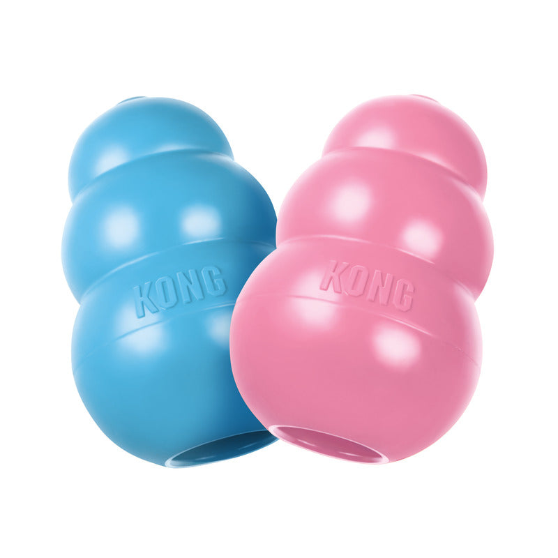 KONG puppy