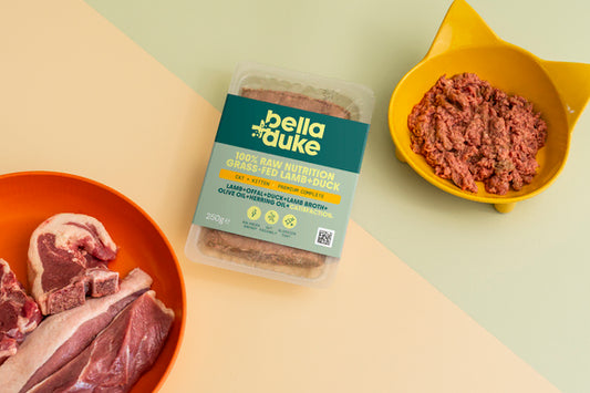 Bella & Duke Complete Cat food Lamb & Duck 250g