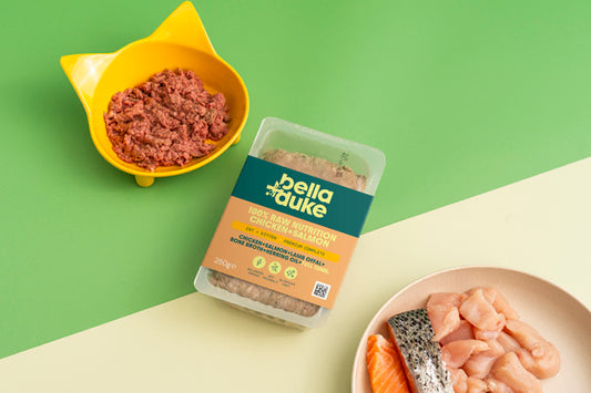 Bella & Duke Cat Complete Chicken & Salmon 250g